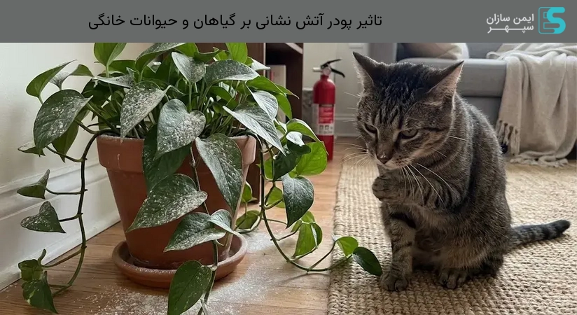 تاثیر پودر آتش نشانی بر گیاهان و حیوانات خانگی